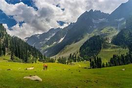 Pahalgam Nature Tour